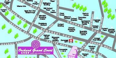 Orchard road i Singapore kart