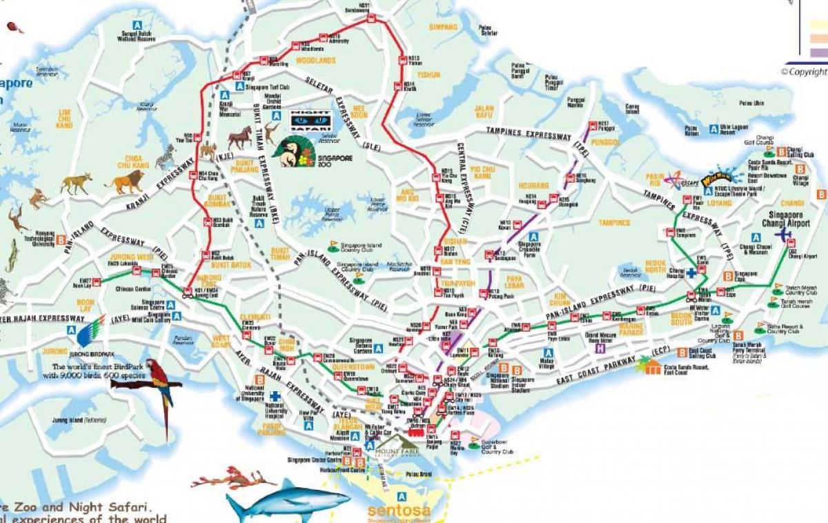 veien kartet av Singapore