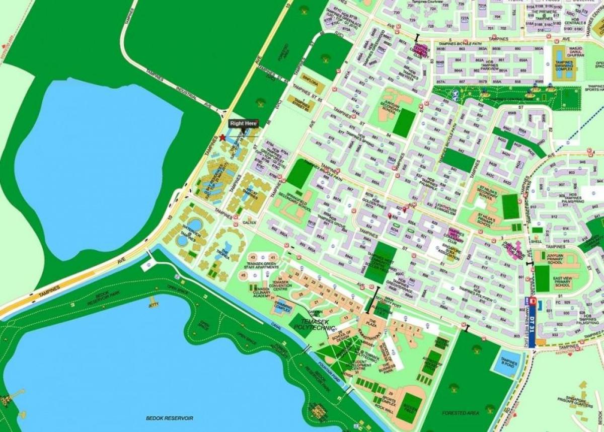 kart over tampines Singapore